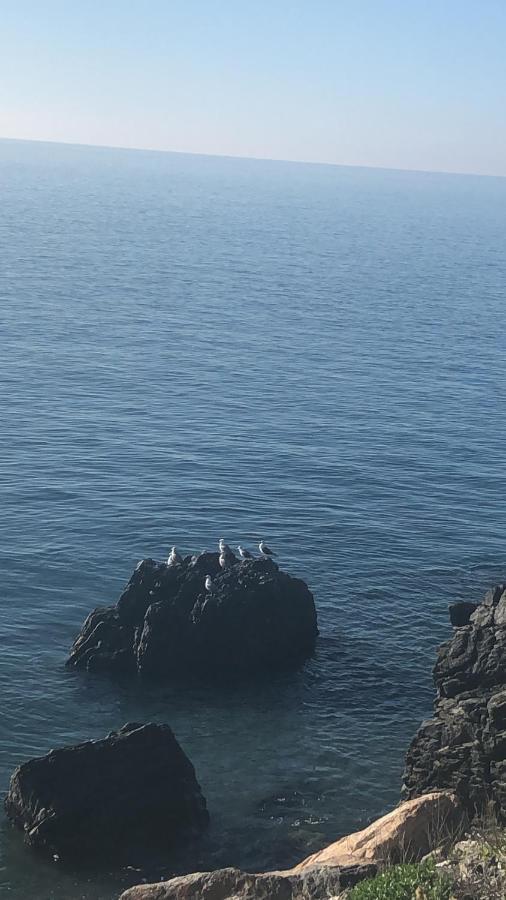 Apartamento Junto Al Mar En Costa Tropical Y Alpujarras Granadinas Melicena Luaran gambar
